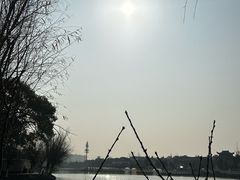 -八大山人梅湖景区