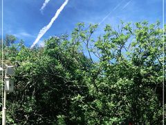-海口火山口国家地质公园