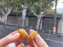 -阿男野栗王(金门路店)