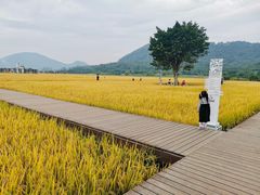 -风云岭森林公园