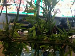 -祥阁食府妈妈菜