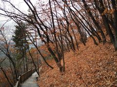 -帽儿山国家森林公园