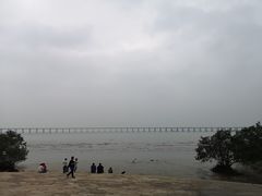 -宝安西湾红树林湿地公园