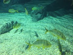 -福州罗源湾海洋世界旅游区