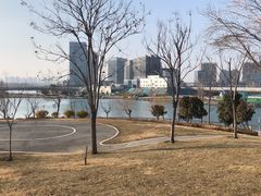-北龙湖湿地公园