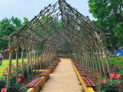 -武汉紫薇都市田园