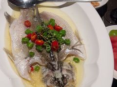 -海派悦庭·海胆烧麦·新融合菜(凯德广场店)