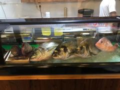 -本格·深夜食堂(北理工店)
