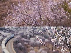 -居庸关长城