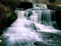 -祁门牯牛降观音堂风景区