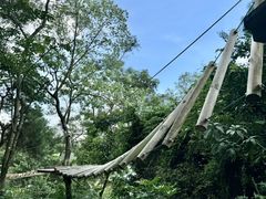 -芦仙山景区-飞越丛林探险乐园