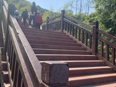 -铁山坪森林公园