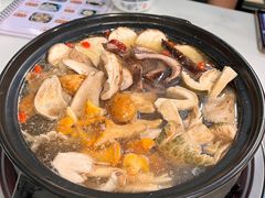-蘑统田下·野生菌火锅