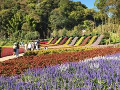 -广州市石门国家森林公园