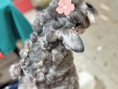 -FAELING PETS美天灵宠物(合生汇店)