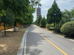 -高旻寺