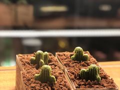 -咖法森林·咖啡  酒吧(天河店)