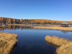 -塞罕坝国家级自然保护区