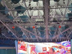 -海合安青岛极地海洋公园