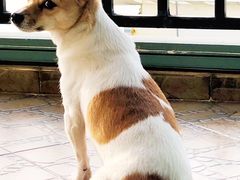 -海银海记牛肉火锅(解放路店)