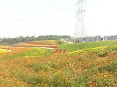 -紫颐香薰山谷景区