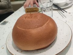 -大树餐厅(环球港店)