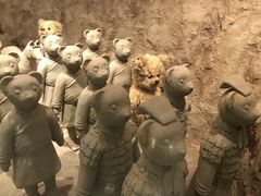 -济州岛泰迪熊博物馆