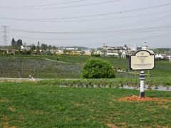 -紫颐香薰山谷景区