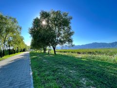 -野鸭湖国家湿地公园