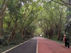 -南宁南湖公园