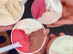 -Dip in Gelato(富民路店)