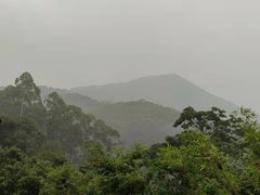 -黄埔油麻山森林公园