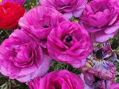 -同济大学(嘉定校区)