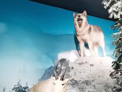 -浙江自然博物院(杭州馆)
