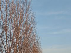 -天津东丽湖风景区