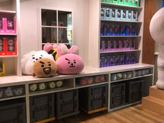 -line friends(明洞旗舰店)