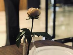 -1861意大利餐厅(文化广场店)