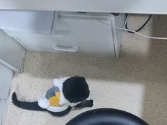 -萌兽医馆·宠物医院·猫骨科(创景店)