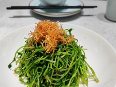 -青花椒花椒鱼(合生汇店)