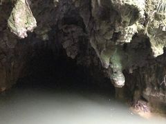 -怀托摩萤火虫洞