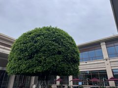 -成都安仁福朋喜来登酒店