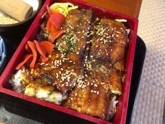 活鳗鱼与茶泡饭-鳗鱼家·深夜食堂(军博店)