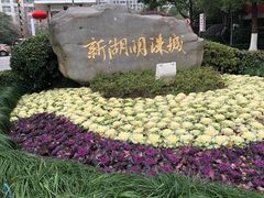 -新湖明珠城