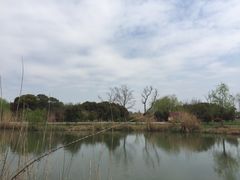 -梁鸿国家湿地公园