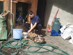 -七彩云酸水鱼(龙胜十七分店)