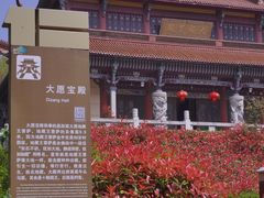 -游子山休闲旅游区