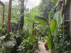 -谷咖啡·鲜花绿植花园餐厅