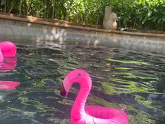 -三亚海韵度假酒店·渔人码头海鲜火锅BBQ自助餐厅·落日吧