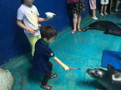 -泉城欧乐堡海洋极地世界