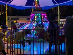 -锦江乐园舞狸花花游园会(夜场专享)